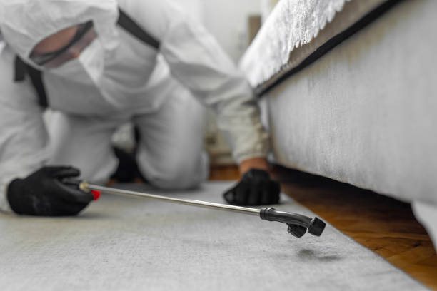 Professional Bed Bug Control technician working in Los Lunas, NM